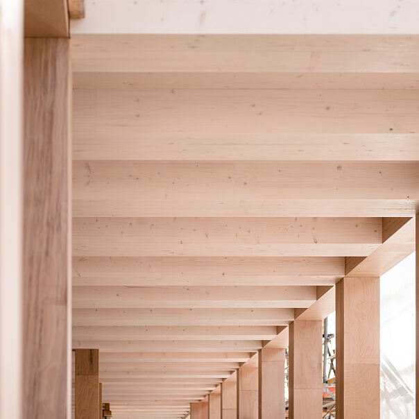 Ein Blick nach oben offenbart die kunstvolle Holzdeckenkonstruktion des TRI, ein Meisterwerk der Architektur, das Wärme und Natürlichkeit in den Arbeitsalltag bringt.